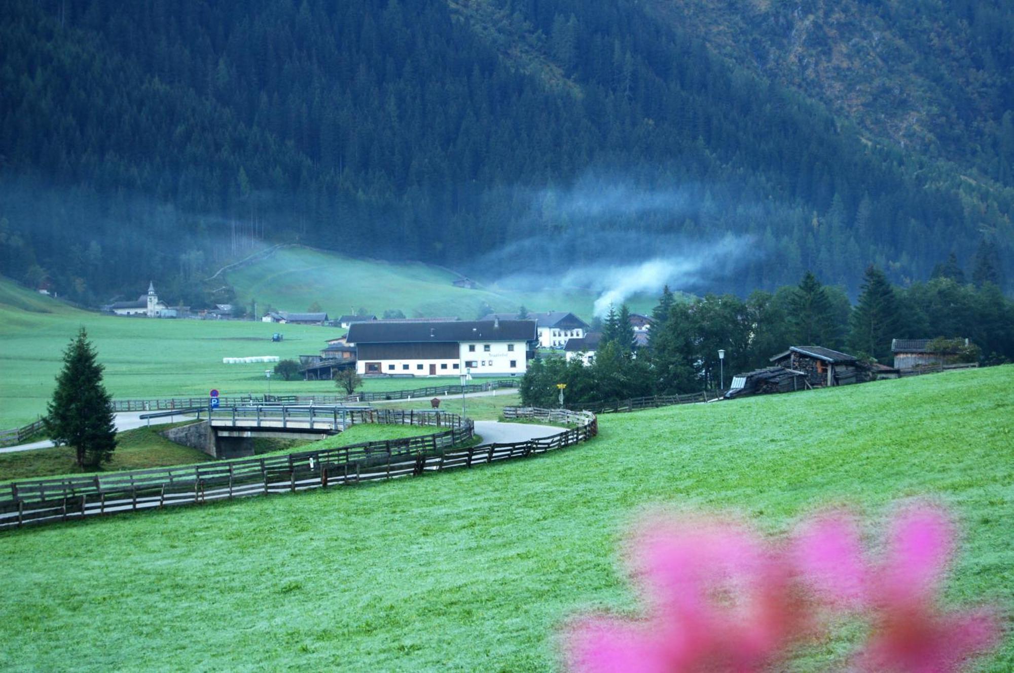 Отель Alfaierhof-Bergheimat Гшниц Экстерьер фото